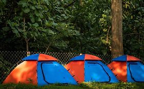 Dandeli Nature Resort